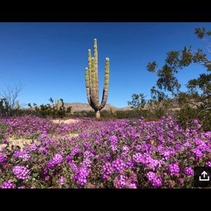 Meet your Posher, Jane